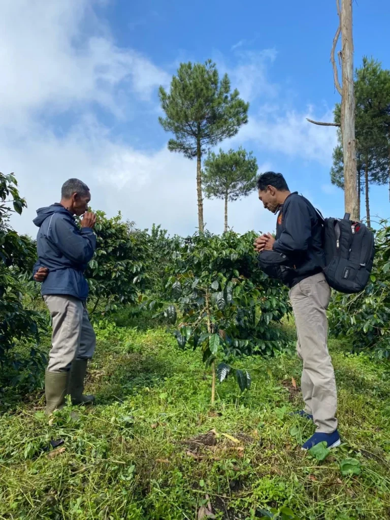 Gambar-1-Kondisi-Lahan-Kopi-Ibun